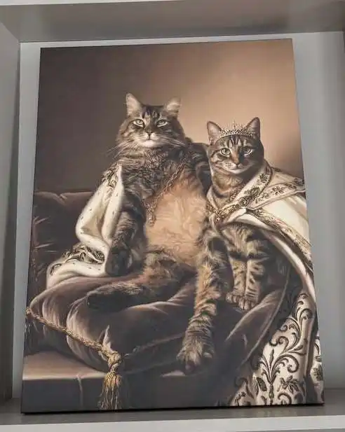 Product used in these videos